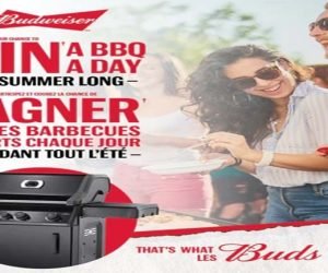 BBQ All Summer Contest by Budweiser