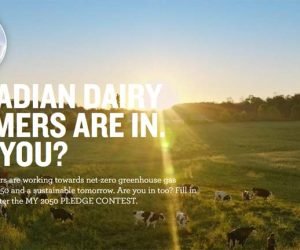 Milk Calendar Contest by Dairy Farmers of Canada