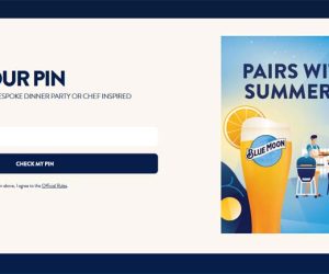 Blue Moon Summer Contest by Molson